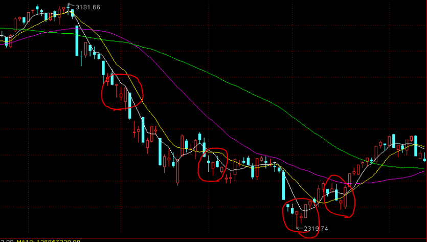 港南区“三月三”活动精彩纷呈