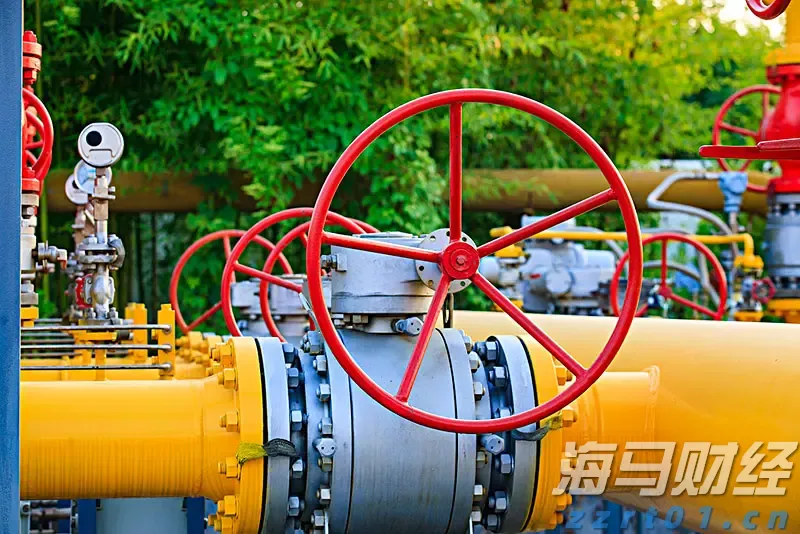 身着统一“战袍”，平均年龄60多岁的佛山太极老友们组团来看开渔节